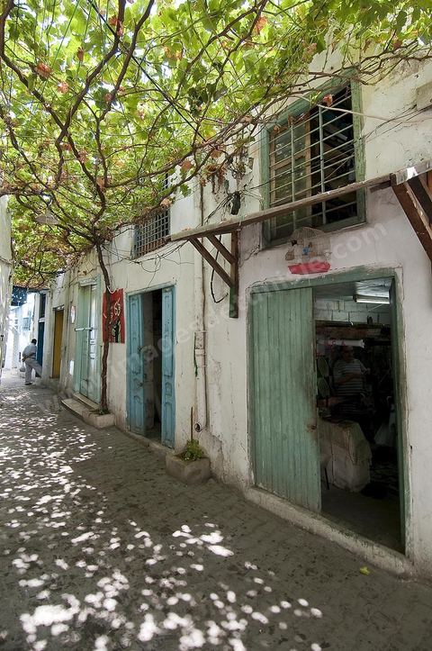 Ruelles de la medina de Tunis, rue, ambiance dans la medina de Tunis