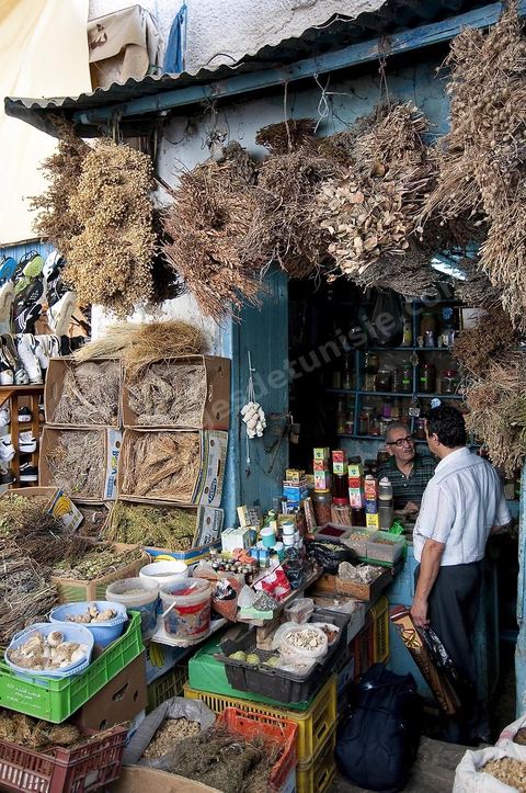 herboriste de la rue des Teinturiers dans la median de Tunis
