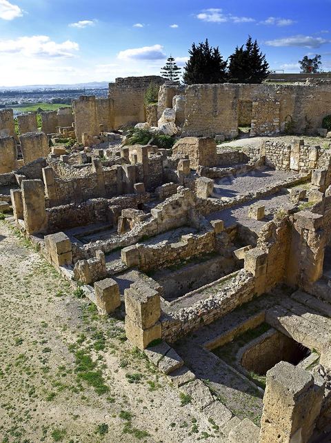Quartier d'habitations puniques sur la colline de Byrsa à Carthage. Sur le sommet de la colline de Byrsa, emplacement du forum romain, a été mis au jour un quartier d'habitation punique du dernier siècle d'existence de la ville, daté plus précisément du début du IIe siècle avt JC. L'habitat est typique et même stéréotypé, avec un local sur la rue pouvant être utilisé comme magasin, une citerne étant installée au sous-sol afin de récupérer l'eau destinée à l'utilisation domestique, et un long couloir sur le côté droit qui mène à une cour percée d'un puisard et autour de laquelle se succèdent de petites pièces en nombre variable.