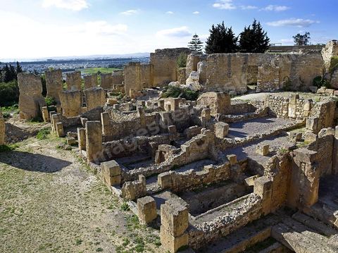 Quartier d'habitations puniques sur la colline de Byrsa à Carthage. Sur le sommet de la colline de Byrsa, emplacement du forum romain, a été mis au jour un quartier d'habitation punique du dernier siècle d'existence de la ville, daté plus précisément du début du IIe siècle avt JC. L'habitat est typique et même stéréotypé, avec un local sur la rue pouvant être utilisé comme magasin, une citerne étant installée au sous-sol afin de récupérer l'eau destinée à l'utilisation domestique, et un long couloir sur le côté droit qui mène à une cour percée d'un puisard et autour de laquelle se succèdent de petites pièces en nombre variable.