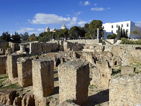 Quartier d'habitations puniques sur la colline de Byrsa à Carthage. Sur le sommet de la colline de Byrsa, emplacement du forum romain, a été mis au jour un quartier d'habitation punique du dernier siècle d'existence de la ville, daté plus précisément du début du IIe siècle avt JC. L'habitat est typique et même stéréotypé, avec un local sur la rue pouvant être utilisé comme magasin, une citerne étant installée au sous-sol afin de récupérer l'eau destinée à l'utilisation domestique, et un long couloir sur le côté droit qui mène à une cour percée d'un puisard et autour de laquelle se succèdent de petites pièces en nombre variable.