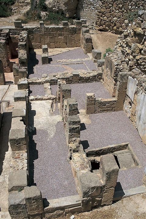 Quartier d'habitations puniques sur la colline de Byrsa à Carthage. Sur le sommet de la colline de Byrsa, emplacement du forum romain, a été mis au jour un quartier d'habitation punique du dernier siècle d'existence de la ville, daté plus précisément du début du IIe siècle avt JC. L'habitat est typique et même stéréotypé, avec un local sur la rue pouvant être utilisé comme magasin, une citerne étant installée au sous-sol afin de récupérer l'eau destinée à l'utilisation domestique, et un long couloir sur le côté droit qui mène à une cour percée d'un puisard et autour de laquelle se succèdent de petites pièces en nombre variable.