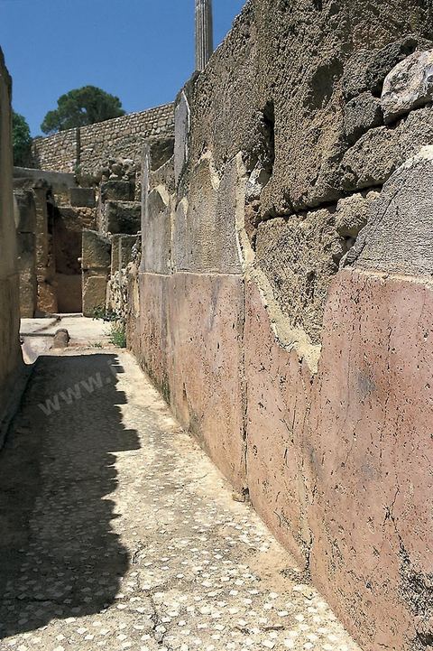 Quartier d'habitations puniques sur la colline de Byrsa à Carthage. Sur le sommet de la colline de Byrsa, emplacement du forum romain, a été mis au jour un quartier d'habitation punique du dernier siècle d'existence de la ville, daté plus précisément du début du IIe siècle avt JC. L'habitat est typique et même stéréotypé, avec un local sur la rue pouvant être utilisé comme magasin, une citerne étant installée au sous-sol afin de récupérer l'eau destinée à l'utilisation domestique, et un long couloir sur le côté droit qui mène à une cour percée d'un puisard et autour de laquelle se succèdent de petites pièces en nombre variable.
