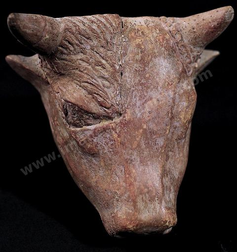 Terracotta cow's head (Carthage Museum)