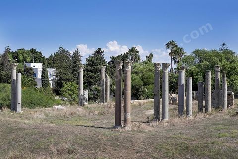 Roman Site of the Columned Building