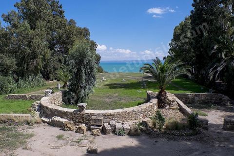Basilique chrétienne de St Cyprien à Carthage