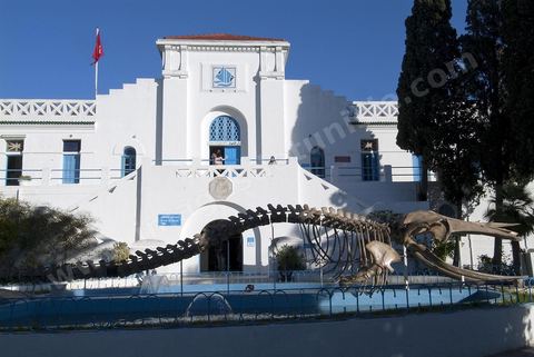 Dar el Hout, Musée océanographique de Carthage au coeur des ports puniques. 