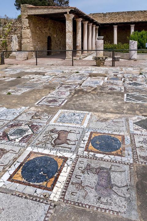 Villa volière dans la parc archéologique de Carthage