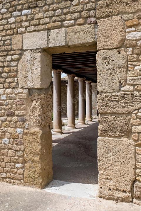 Villa volière dans la parc archéologique de Carthage