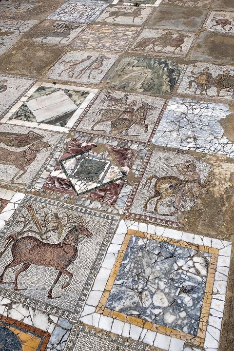 Villa Volière in the Carthage Archaeological Park
