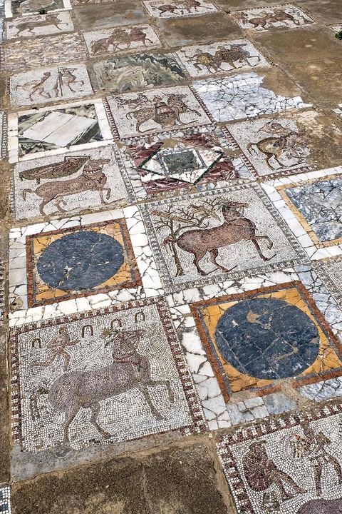 Villa Volière in the Carthage Archaeological Park