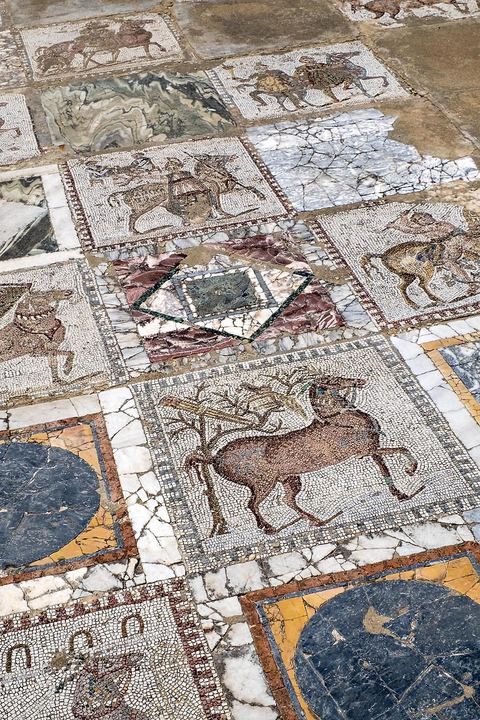 Villa Volière in the Carthage Archaeological Park