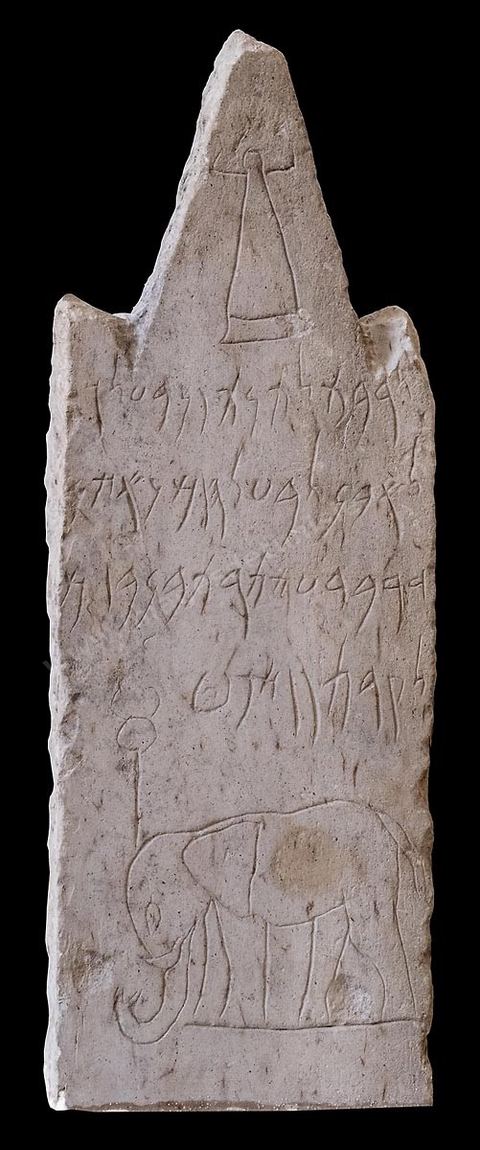 Stèle votive à l'éléphant. Calcaire compacté. Musée National de Carthage