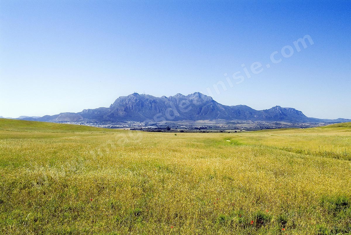 Jebel Zaghouan