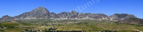 Djebel Zaghouan. Zaghouan est une ville agricole d'origine romaine (Ziqua) construite au pied du Jebel Zaghouan (1295 m) et riche en fontaines d'eau de source. C'est une charmante petite médina agrippée aux flancs du relief boisé. L’architecture sacrée y reflète de profondes influences andalouses puisqu’une communauté de réfugiés andalous s’y installa au XVII° siècle. 