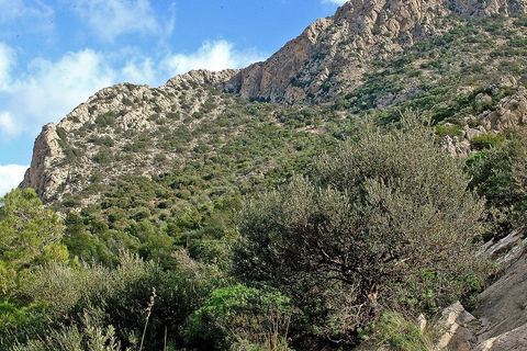 Djebel Zaghouan. Zaghouan est une ville agricole d'origine romaine (Ziqua) construite au pied du Jebel Zaghouan (1295 m) et riche en fontaines d'eau de source. C'est une charmante petite médina agrippée aux flancs du relief boisé. L’architecture sacrée y reflète de profondes influences andalouses puisqu’une communauté de réfugiés andalous s’y installa au XVII° siècle. 