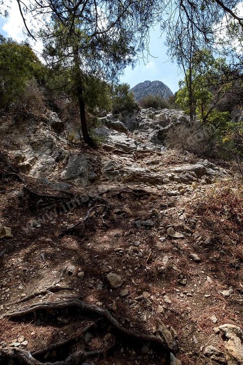 Djebel Zaghouan. Zaghouan est une ville agricole d'origine romaine (Ziqua) construite au pied du Jebel Zaghouan (1295 m) et riche en fontaines d'eau de source. C'est une charmante petite médina agrippée aux flancs du relief boisé. L’architecture sacrée y reflète de profondes influences andalouses puisqu’une communauté de réfugiés andalous s’y installa au XVII° siècle. 