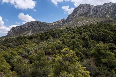 Alep pine forest in the Jebel Zaghouan. Zaghouan is an agricultural town of Roman origin (Ziqua) built at the foot of Jebel Zaghouan (1,295 m) and rich in spring-fed fountains. It is a charming little medina clinging to the slopes of the wooded hillside. The sacred architecture there reflects deep Andalusian influences, as a community of Andalusian refugees settled there in the 17th century. 