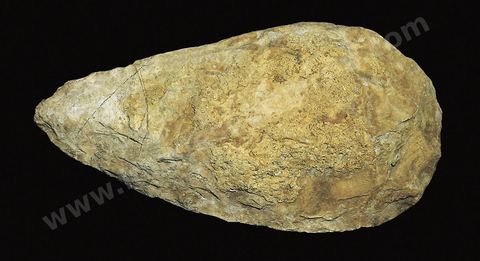 biface acheuleen, 300000 à 100000 avt JC, musee du Bardo