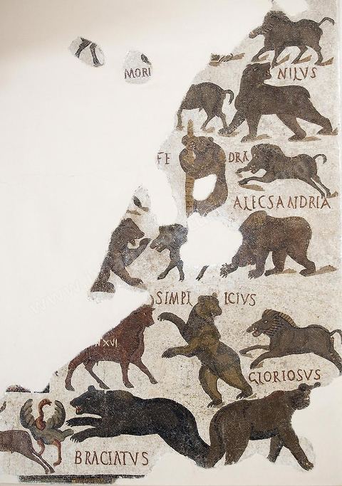 Mosaique du musee national du Bardo - Tunis