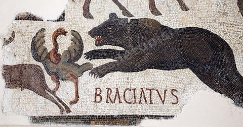 Mosaique du musee national du Bardo - Tunis