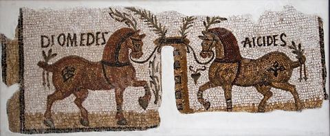 Mosaique du musee national du Bardo - Tunis