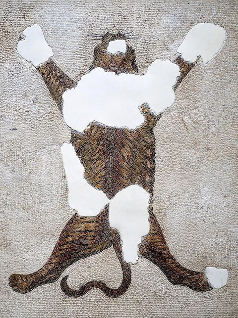 Mosaique du musee national du Bardo - Tunis
