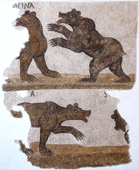 Mosaique du musee national du Bardo - Tunis