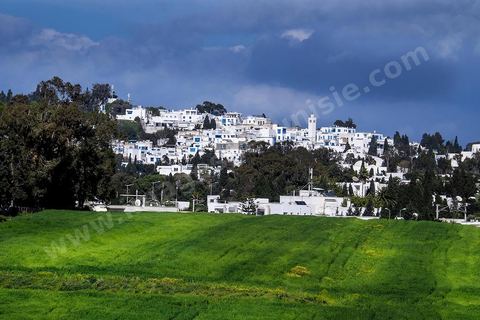 Le village de Sidi Bou Saïd