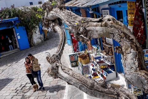 Boutique du brocateur de Adle avec en façade le fameux figuier au couer du village de Sidi Bou Saïd