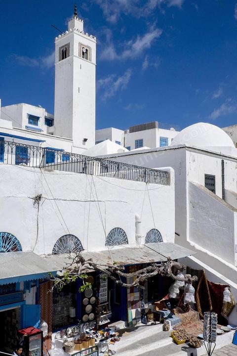 Sous la grande mosquée, boutique du brocateur de Adle avec en façade le fameux figuier au couer du village de Sidi Bou Saïd