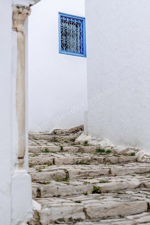 Ruelles, escalier, mur blanc et fenêtres bleues. Sidi Bou Saïd sur les traces de Michel Foucault