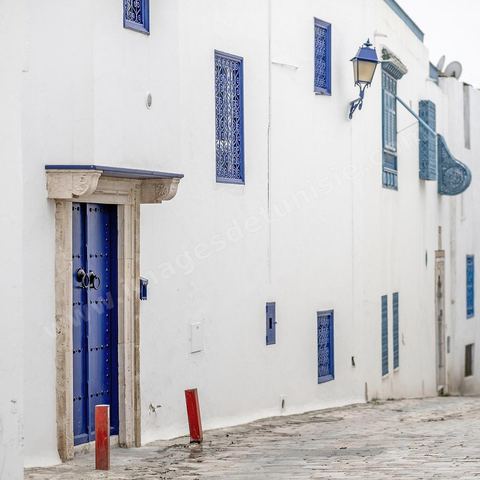 La maison où Michel Foucault a passé le plus de temps. Sidi Bou Saïd sur les traces de Michel Foucault