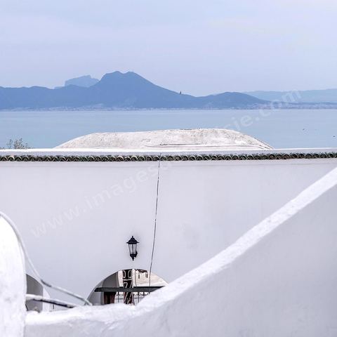Mosquée. Sidi Bou Saïd sur les traces de Michel Foucault