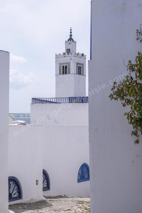 _DSF9567