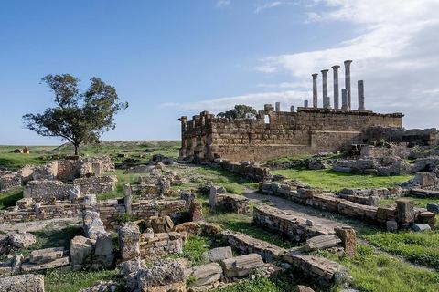 le site archéologique romain de Thuburbo Majus. Thuburbo Majus est située à l'entrée d'El Fahs à 60 km de Tunis, malgré qu’elle soit totalement abandonnée maintenant, elle comptait plus que 10000 habitants au deuxième siècle après J.C. La ville de Thuburbo Majus, existait avant l’arrivée des romains, elle était avant berbère puis carthaginoise. Pendant l’époque romaine, cette cité a connu une prospérité surtout en 128 quand elle reçut le statut de municipe suite à la visite de l’empereur Hadrien. La plupart des monuments de la cité datent de la moitié du 2ème siècle.Seuls 7 Ha sur les 40 Ha ont été fouillés, les trois portes de la ville indiquent son gigantisme.