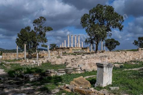 le site archéologique romain de Thuburbo Majus. Thuburbo Majus est située à l'entrée d'El Fahs à 60 km de Tunis, malgré qu’elle soit totalement abandonnée maintenant, elle comptait plus que 10000 habitants au deuxième siècle après J.C. La ville de Thuburbo Majus, existait avant l’arrivée des romains, elle était avant berbère puis carthaginoise. Pendant l’époque romaine, cette cité a connu une prospérité surtout en 128 quand elle reçut le statut de municipe suite à la visite de l’empereur Hadrien. La plupart des monuments de la cité datent de la moitié du 2ème siècle.Seuls 7 Ha sur les 40 Ha ont été fouillés, les trois portes de la ville indiquent son gigantisme.
