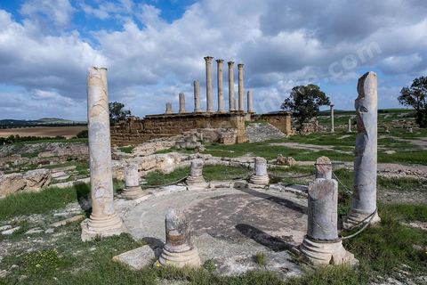 le site archéologique romain de Thuburbo Majus. Thuburbo Majus est située à l'entrée d'El Fahs à 60 km de Tunis, malgré qu’elle soit totalement abandonnée maintenant, elle comptait plus que 10000 habitants au deuxième siècle après J.C. La ville de Thuburbo Majus, existait avant l’arrivée des romains, elle était avant berbère puis carthaginoise. Pendant l’époque romaine, cette cité a connu une prospérité surtout en 128 quand elle reçut le statut de municipe suite à la visite de l’empereur Hadrien. La plupart des monuments de la cité datent de la moitié du 2ème siècle.Seuls 7 Ha sur les 40 Ha ont été fouillés, les trois portes de la ville indiquent son gigantisme.