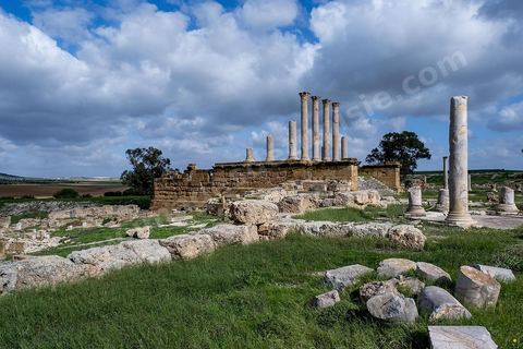 le site archéologique romain de Thuburbo Majus. Thuburbo Majus est située à l'entrée d'El Fahs à 60 km de Tunis, malgré qu’elle soit totalement abandonnée maintenant, elle comptait plus que 10000 habitants au deuxième siècle après J.C. La ville de Thuburbo Majus, existait avant l’arrivée des romains, elle était avant berbère puis carthaginoise. Pendant l’époque romaine, cette cité a connu une prospérité surtout en 128 quand elle reçut le statut de municipe suite à la visite de l’empereur Hadrien. La plupart des monuments de la cité datent de la moitié du 2ème siècle.Seuls 7 Ha sur les 40 Ha ont été fouillés, les trois portes de la ville indiquent son gigantisme.