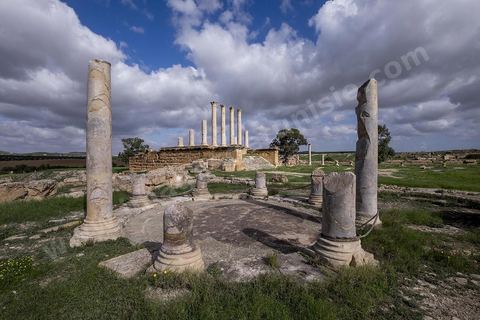 le site archéologique romain de Thuburbo Majus. Thuburbo Majus est située à l'entrée d'El Fahs à 60 km de Tunis, malgré qu’elle soit totalement abandonnée maintenant, elle comptait plus que 10000 habitants au deuxième siècle après J.C. La ville de Thuburbo Majus, existait avant l’arrivée des romains, elle était avant berbère puis carthaginoise. Pendant l’époque romaine, cette cité a connu une prospérité surtout en 128 quand elle reçut le statut de municipe suite à la visite de l’empereur Hadrien. La plupart des monuments de la cité datent de la moitié du 2ème siècle.Seuls 7 Ha sur les 40 Ha ont été fouillés, les trois portes de la ville indiquent son gigantisme.