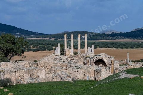 le site archéologique romain de Thuburbo Majus. Thuburbo Majus est située à l'entrée d'El Fahs à 60 km de Tunis, malgré qu’elle soit totalement abandonnée maintenant, elle comptait plus que 10000 habitants au deuxième siècle après J.C. La ville de Thuburbo Majus, existait avant l’arrivée des romains, elle était avant berbère puis carthaginoise. Pendant l’époque romaine, cette cité a connu une prospérité surtout en 128 quand elle reçut le statut de municipe suite à la visite de l’empereur Hadrien. La plupart des monuments de la cité datent de la moitié du 2ème siècle.Seuls 7 Ha sur les 40 Ha ont été fouillés, les trois portes de la ville indiquent son gigantisme.