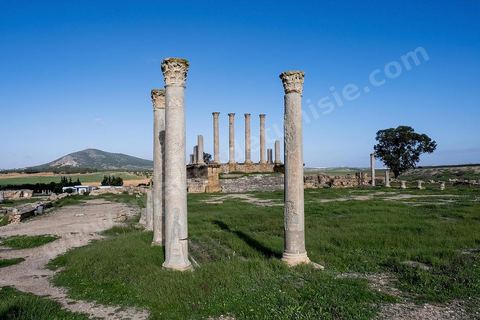le site archéologique romain de Thuburbo Majus. Thuburbo Majus est située à l'entrée d'El Fahs à 60 km de Tunis, malgré qu’elle soit totalement abandonnée maintenant, elle comptait plus que 10000 habitants au deuxième siècle après J.C. La ville de Thuburbo Majus, existait avant l’arrivée des romains, elle était avant berbère puis carthaginoise. Pendant l’époque romaine, cette cité a connu une prospérité surtout en 128 quand elle reçut le statut de municipe suite à la visite de l’empereur Hadrien. La plupart des monuments de la cité datent de la moitié du 2ème siècle.Seuls 7 Ha sur les 40 Ha ont été fouillés, les trois portes de la ville indiquent son gigantisme.