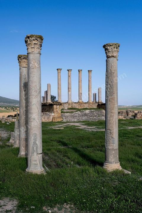 le site archéologique romain de Thuburbo Majus. Thuburbo Majus est située à l'entrée d'El Fahs à 60 km de Tunis, malgré qu’elle soit totalement abandonnée maintenant, elle comptait plus que 10000 habitants au deuxième siècle après J.C. La ville de Thuburbo Majus, existait avant l’arrivée des romains, elle était avant berbère puis carthaginoise. Pendant l’époque romaine, cette cité a connu une prospérité surtout en 128 quand elle reçut le statut de municipe suite à la visite de l’empereur Hadrien. La plupart des monuments de la cité datent de la moitié du 2ème siècle.Seuls 7 Ha sur les 40 Ha ont été fouillés, les trois portes de la ville indiquent son gigantisme.