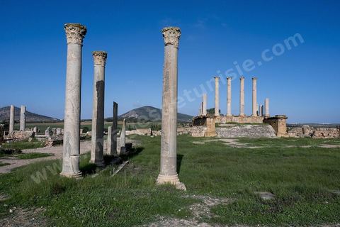 le site archéologique romain de Thuburbo Majus. Thuburbo Majus est située à l'entrée d'El Fahs à 60 km de Tunis, malgré qu’elle soit totalement abandonnée maintenant, elle comptait plus que 10000 habitants au deuxième siècle après J.C. La ville de Thuburbo Majus, existait avant l’arrivée des romains, elle était avant berbère puis carthaginoise. Pendant l’époque romaine, cette cité a connu une prospérité surtout en 128 quand elle reçut le statut de municipe suite à la visite de l’empereur Hadrien. La plupart des monuments de la cité datent de la moitié du 2ème siècle.Seuls 7 Ha sur les 40 Ha ont été fouillés, les trois portes de la ville indiquent son gigantisme.
