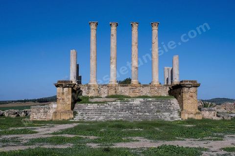 le site archéologique romain de Thuburbo Majus. Thuburbo Majus est située à l'entrée d'El Fahs à 60 km de Tunis, malgré qu’elle soit totalement abandonnée maintenant, elle comptait plus que 10000 habitants au deuxième siècle après J.C. La ville de Thuburbo Majus, existait avant l’arrivée des romains, elle était avant berbère puis carthaginoise. Pendant l’époque romaine, cette cité a connu une prospérité surtout en 128 quand elle reçut le statut de municipe suite à la visite de l’empereur Hadrien. La plupart des monuments de la cité datent de la moitié du 2ème siècle.Seuls 7 Ha sur les 40 Ha ont été fouillés, les trois portes de la ville indiquent son gigantisme.
