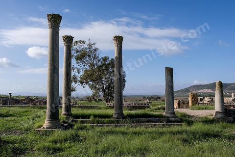 le site archéologique romain de Thuburbo Majus. Thuburbo Majus est située à l'entrée d'El Fahs à 60 km de Tunis, malgré qu’elle soit totalement abandonnée maintenant, elle comptait plus que 10000 habitants au deuxième siècle après J.C. La ville de Thuburbo Majus, existait avant l’arrivée des romains, elle était avant berbère puis carthaginoise. Pendant l’époque romaine, cette cité a connu une prospérité surtout en 128 quand elle reçut le statut de municipe suite à la visite de l’empereur Hadrien. La plupart des monuments de la cité datent de la moitié du 2ème siècle.Seuls 7 Ha sur les 40 Ha ont été fouillés, les trois portes de la ville indiquent son gigantisme.