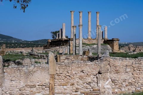 le site archéologique romain de Thuburbo Majus. Thuburbo Majus est située à l'entrée d'El Fahs à 60 km de Tunis, malgré qu’elle soit totalement abandonnée maintenant, elle comptait plus que 10000 habitants au deuxième siècle après J.C. La ville de Thuburbo Majus, existait avant l’arrivée des romains, elle était avant berbère puis carthaginoise. Pendant l’époque romaine, cette cité a connu une prospérité surtout en 128 quand elle reçut le statut de municipe suite à la visite de l’empereur Hadrien. La plupart des monuments de la cité datent de la moitié du 2ème siècle.Seuls 7 Ha sur les 40 Ha ont été fouillés, les trois portes de la ville indiquent son gigantisme.