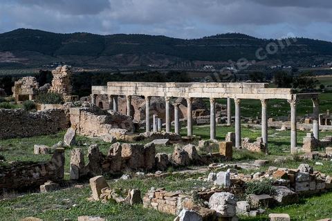 le site archéologique romain de Thuburbo Majus. Thuburbo Majus est située à l'entrée d'El Fahs à 60 km de Tunis, malgré qu’elle soit totalement abandonnée maintenant, elle comptait plus que 10000 habitants au deuxième siècle après J.C. La ville de Thuburbo Majus, existait avant l’arrivée des romains, elle était avant berbère puis carthaginoise. Pendant l’époque romaine, cette cité a connu une prospérité surtout en 128 quand elle reçut le statut de municipe suite à la visite de l’empereur Hadrien. La plupart des monuments de la cité datent de la moitié du 2ème siècle.Seuls 7 Ha sur les 40 Ha ont été fouillés, les trois portes de la ville indiquent son gigantisme.