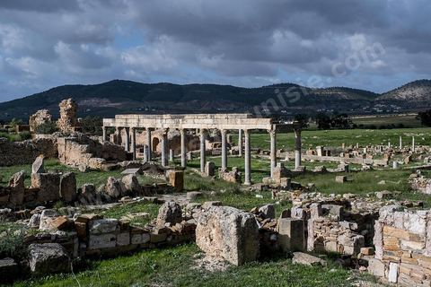 le site archéologique romain de Thuburbo Majus. Thuburbo Majus est située à l'entrée d'El Fahs à 60 km de Tunis, malgré qu’elle soit totalement abandonnée maintenant, elle comptait plus que 10000 habitants au deuxième siècle après J.C. La ville de Thuburbo Majus, existait avant l’arrivée des romains, elle était avant berbère puis carthaginoise. Pendant l’époque romaine, cette cité a connu une prospérité surtout en 128 quand elle reçut le statut de municipe suite à la visite de l’empereur Hadrien. La plupart des monuments de la cité datent de la moitié du 2ème siècle.Seuls 7 Ha sur les 40 Ha ont été fouillés, les trois portes de la ville indiquent son gigantisme.