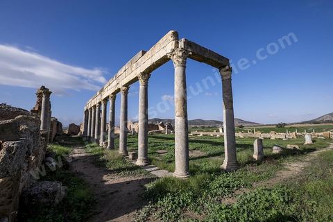 le site archéologique romain de Thuburbo Majus. Thuburbo Majus est située à l'entrée d'El Fahs à 60 km de Tunis, malgré qu’elle soit totalement abandonnée maintenant, elle comptait plus que 10000 habitants au deuxième siècle après J.C. La ville de Thuburbo Majus, existait avant l’arrivée des romains, elle était avant berbère puis carthaginoise. Pendant l’époque romaine, cette cité a connu une prospérité surtout en 128 quand elle reçut le statut de municipe suite à la visite de l’empereur Hadrien. La plupart des monuments de la cité datent de la moitié du 2ème siècle.Seuls 7 Ha sur les 40 Ha ont été fouillés, les trois portes de la ville indiquent son gigantisme.